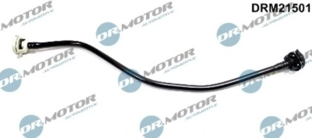 DRM21501 Lizarte