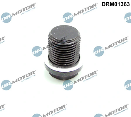 DRM01363 Lizarte
