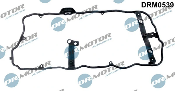 DRM0539 Lizarte