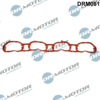 DRM081 Lizarte
