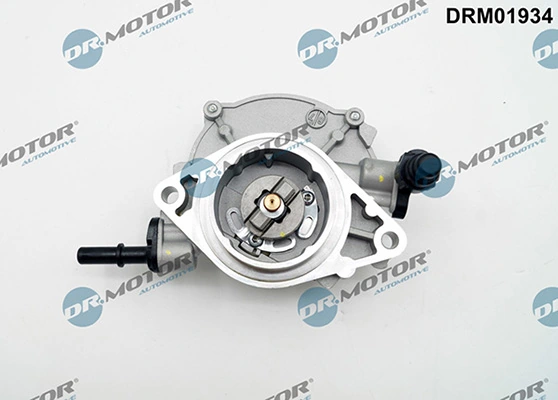 DRM01934 Lizarte