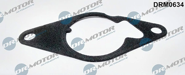 DRM0634 Lizarte