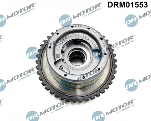 DRM01553 Lizarte