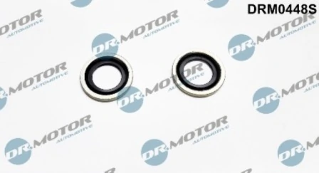 DRM0448S Lizarte