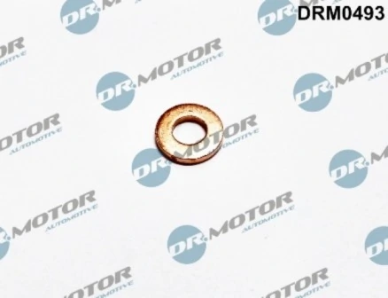 DRM0493 Lizarte
