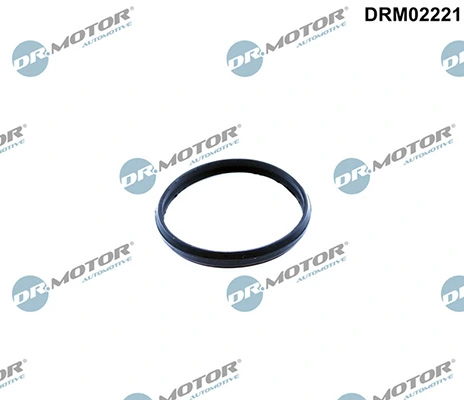 DRM02221 Lizarte