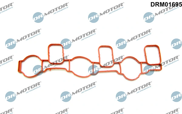 DRM01695 Lizarte