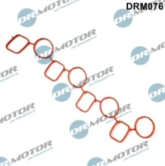 DRM076 Lizarte