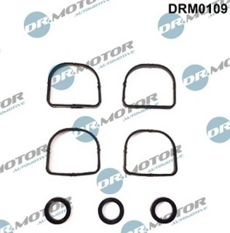 DRM0109 Lizarte