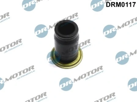 DRM0117 Lizarte