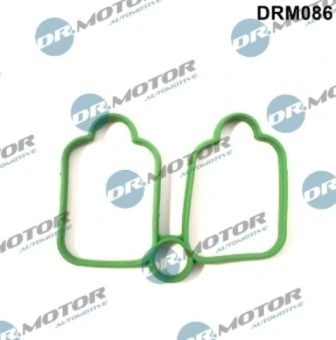 DRM086 Lizarte