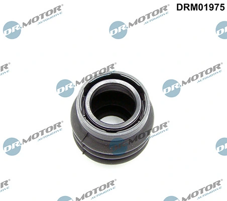 DRM01975 Lizarte