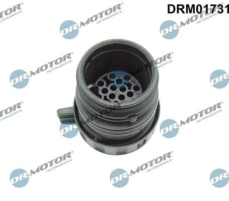 DRM01731 Lizarte