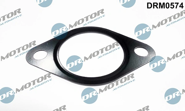 DRM0574 Lizarte