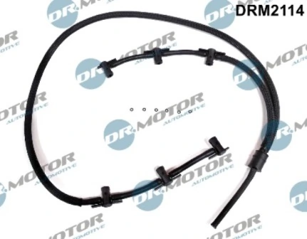 DRM2114 Lizarte