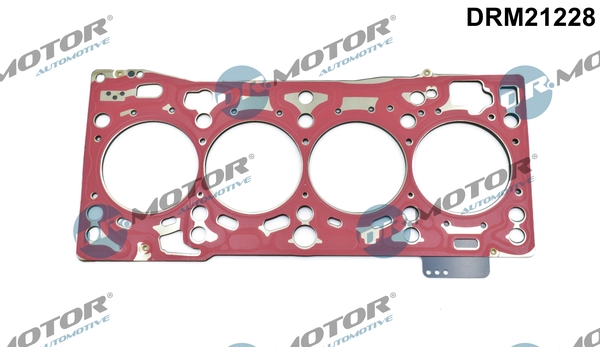 DRM21228 Lizarte