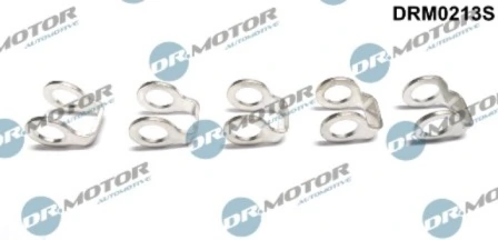DRM0213S Lizarte