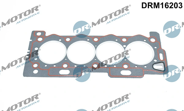 DRM16203 Lizarte