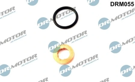 DRM055 Lizarte