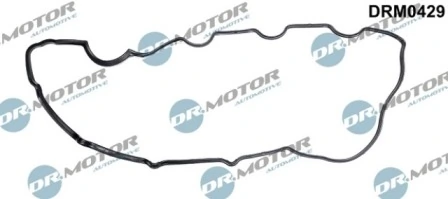 DRM0429 Lizarte