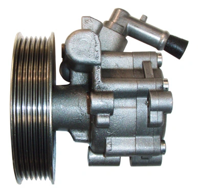 Comprar 041601001 Lizarte Bomba servodireccion