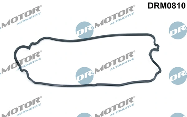 DRM0810 Lizarte