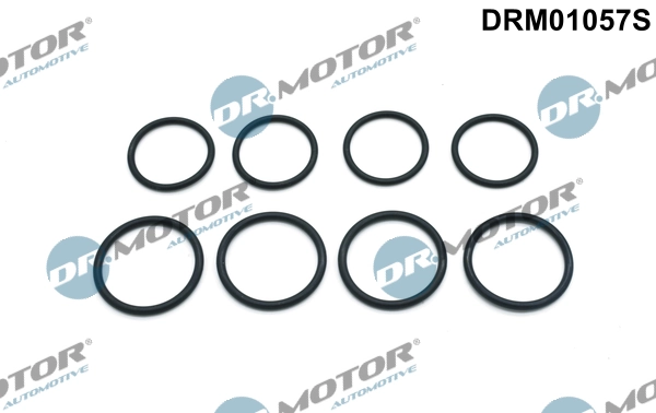 DRM01057S Lizarte