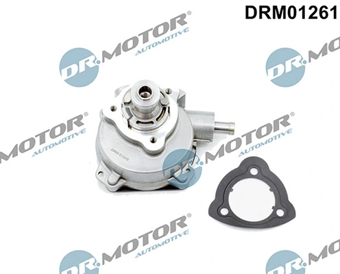 DRM01261 Lizarte