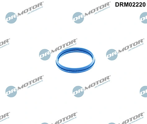 DRM02220 Lizarte