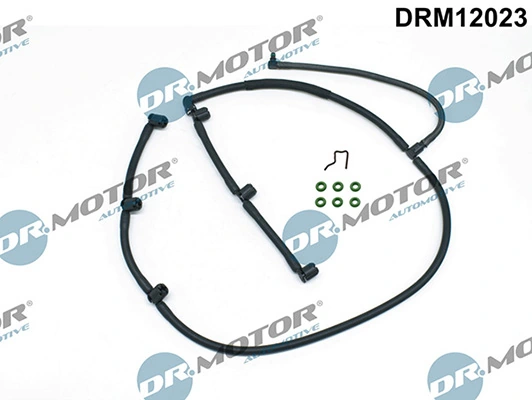 DRM12023 Lizarte
