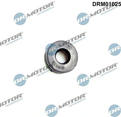 DRM01025 Lizarte