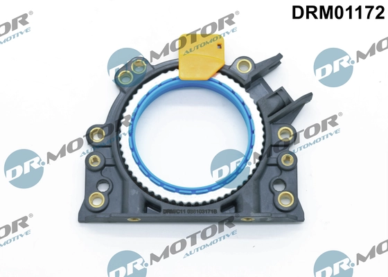 DRM01172 Lizarte