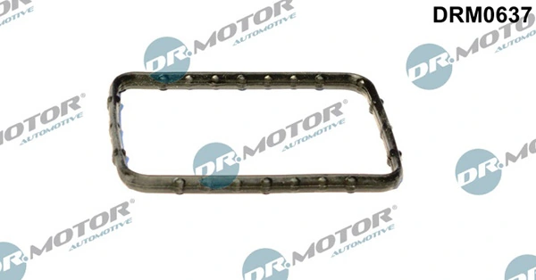 DRM0637 Lizarte