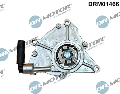 DRM01466 Lizarte