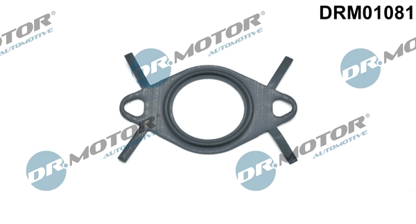 DRM01081 Lizarte