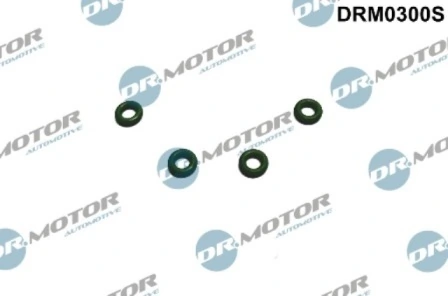 DRM0300S Lizarte