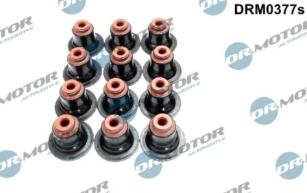 DRM0377S Lizarte