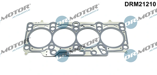 DRM21210 Lizarte