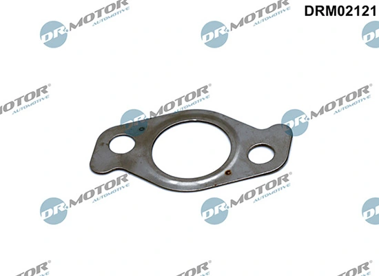 DRM02121 Lizarte