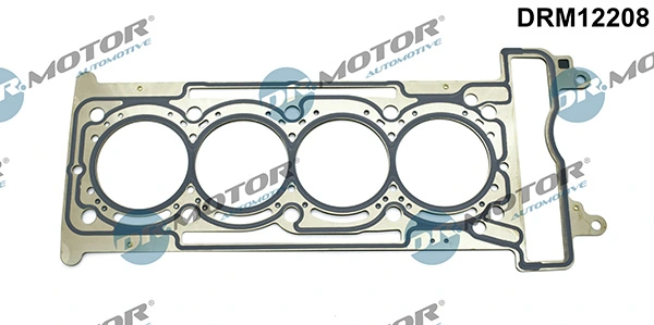 DRM12208 Lizarte