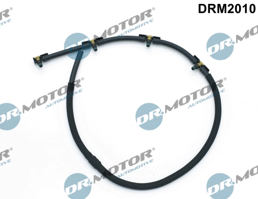 DRM2010 Lizarte