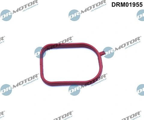 DRM01955 Lizarte