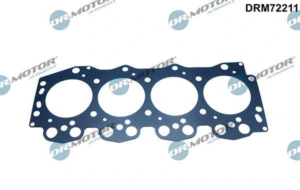 DRM72211 Lizarte