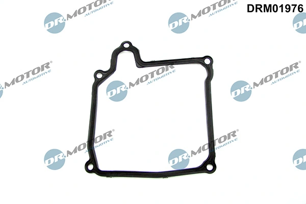 DRM01976 Lizarte