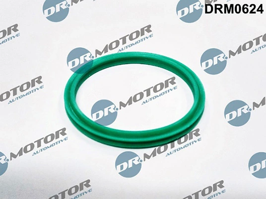 DRM0624 Lizarte