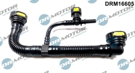 DRM16605 Lizarte