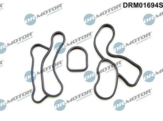DRM01694S Lizarte