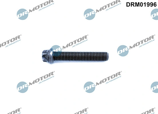 DRM01996 Lizarte