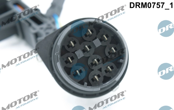 DRM0757 Lizarte