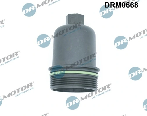 DRM0668 Lizarte